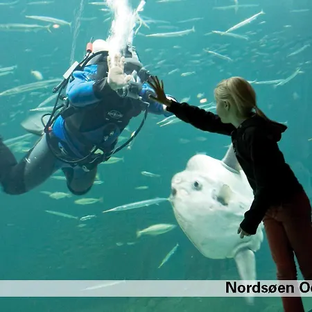 Lxv Apartmán Hirtshals